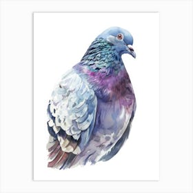 Pigeon Watercolor Illustration Art Print