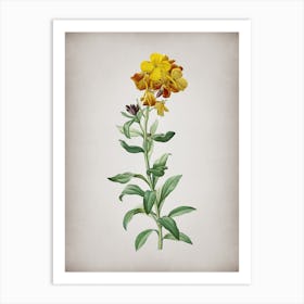 Vintage Yellow Wallflower Bloom Botanical on Parchment n.0768 Art Print