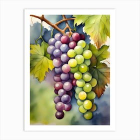 Watercolor Grapes Art Print