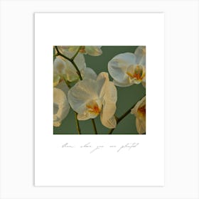 White Orchids 2 Art Print