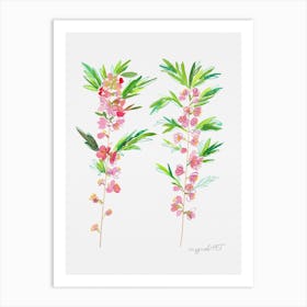 Dwarf almond 1 Art Print