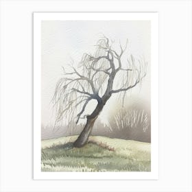 Willow Tree Atmospheric Watercolour Painting 1 Art Print