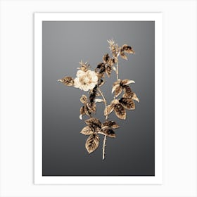 Gold Botanical Big Flowered Dog Rose on Soft Gray n.0823 Art Print