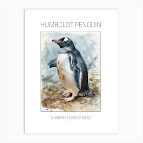 Humboldt Penguin Dunedin Taiaroa Head Watercolour Painting 4 Poster Art Print