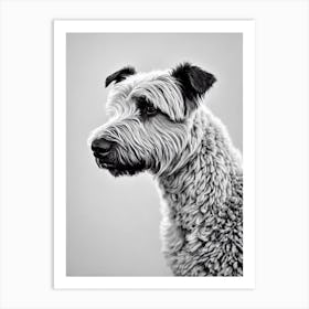 Bouvier Des Flandres B&W Pencil Dog Art Print