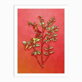 Vintage Bilberry Botanical Art on Fiery Red n.1177 Art Print