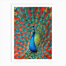 Peacock Yayoi Kusama Style Illustration Bird Art Print