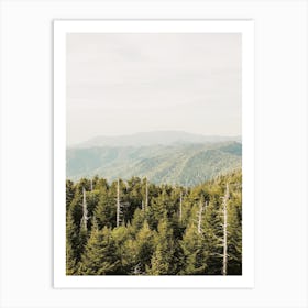 Pine Forest Mountain Art Print