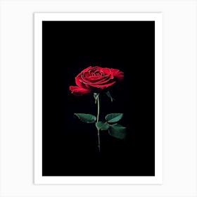 Red Rose On Black Background 30 Art Print