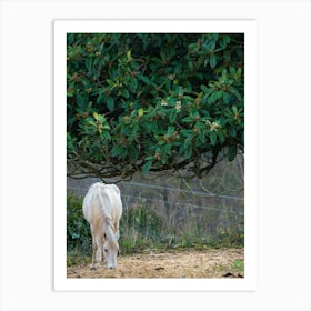 White Horse Grazing 20211231 66ppub Art Print