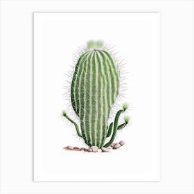 Rhipsalis Cactus Marker Art 1 Art Print