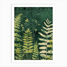 Ferns 1 Art Print