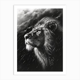 African Lion Charcoal Drawing Facing A Storm 1 Art Print