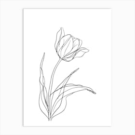 Tulip Flower Minimalist Line Art Monoline Illustration Art Print