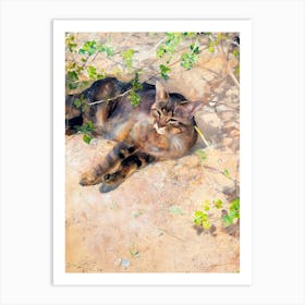 Sleeping Jeppe (Tabby Cat in the Meadow) by Bruno Liljefors 1886 HD Art Print