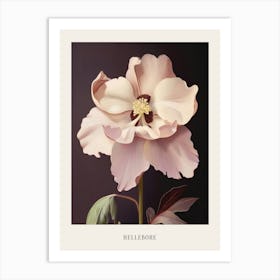 Floral Illustration Hellebore 2 Poster Art Print