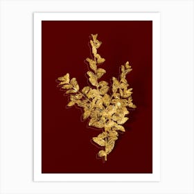Vintage Boxwood Bush Botanical in Gold on Red n.0375 Art Print