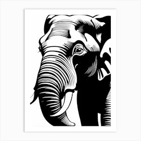 Elephant with Tusks, 1354 Art Print