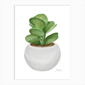 Succulent Plant In A Pot.A fine artistic print that decorates the place. Art Print