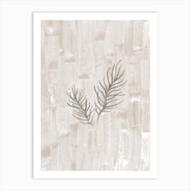 Neutral fir branches Art Print
