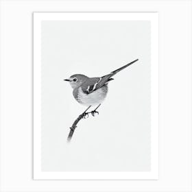 Robin B&W Pencil Drawing 2 Bird Art Print