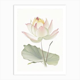 American Lotus Pencil Illustration 4 Art Print