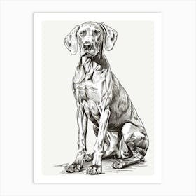 Weimaraner Dog Line Sketch 3 Art Print