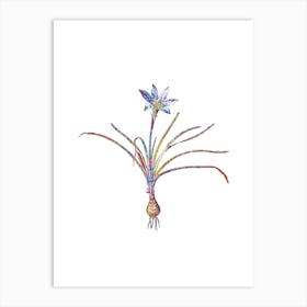 Stained Glass Rain Lily Mosaic Botanical Illustration on White Art Print