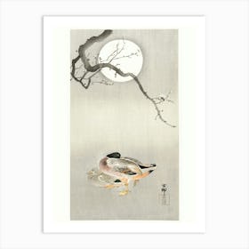 Ducks At Full Moon (1900 1945), Ohara Koson Art Print