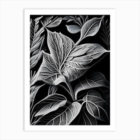 Tea Leaf Linocut 1 Art Print