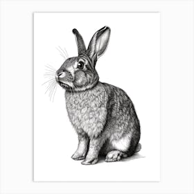 English Lop Blockprint Rabbit Illustration 4 Art Print