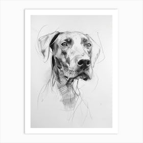 Pointer Dog Charcoal Line 2 Art Print