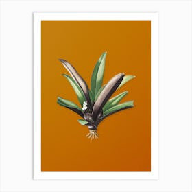 Vintage Boat Lily Botanical on Sunset Orange n.0759 Art Print