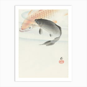 Two Carp (1900 1930), Ohara Koson Art Print