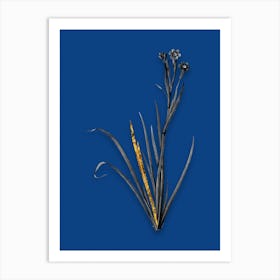 Vintage Bermudiana Black and White Gold Leaf Floral Art on Midnight Blue n.0374 Art Print