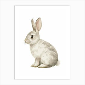 Blanc De Hotot Rabbit Nursery Illustration 2 Art Print