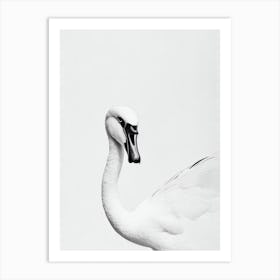 Swan B&W Pencil Drawing 1 Bird Art Print