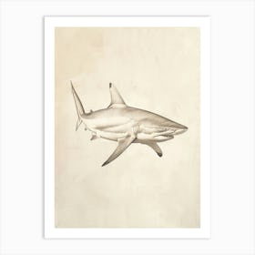 Isistius Genus Shark Vintage Illustration 4 Art Print