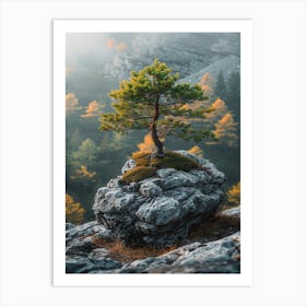 Pine Tree On A Rock Art Print