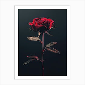 Rose On A Black Background 11 Art Print