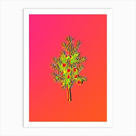 Neon Common Juniper Botanical in Hot Pink and Electric Blue n.0460 Art Print