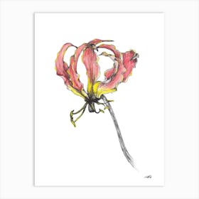 Watercolour Flame Lilly 2 Art Print