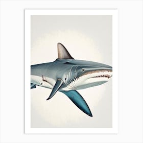 Porbeagle Shark Vintage Art Print