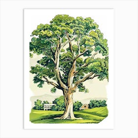 Paulownia Tree Storybook Illustration 2 Art Print