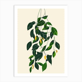 Wandering Jew Plant Minimalist Illustration 6 Art Print