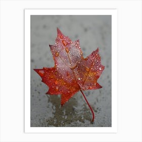 Maple Leaf With Raindrops Art Print