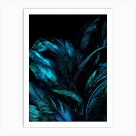 Dark Blue Feathers Art Print