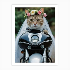 Cat In Wedding Dress 1 Art Print