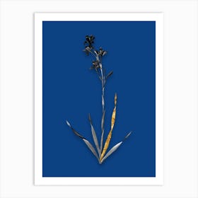 Vintage Bugle Lily Black and White Gold Leaf Floral Art on Midnight Blue Art Print