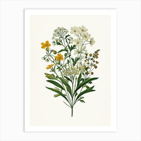 Vintage Botanical Galleria Style Wildflower Painting 9 Art Print